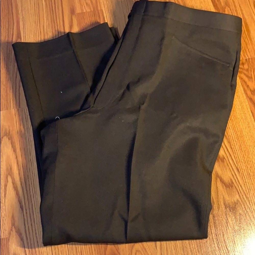 Sansabelt Pant